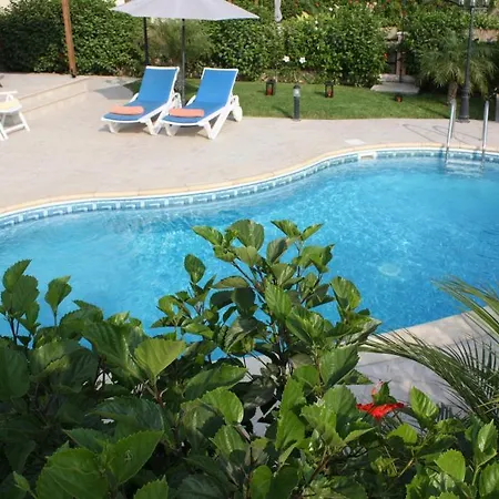 Holidays Villas Villa *
